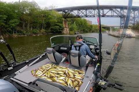 Lake Erie Yellow Perch Fishing – Best Day of the Season?