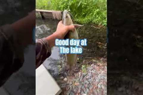 Good day at the lake #fishing #shorts ￼