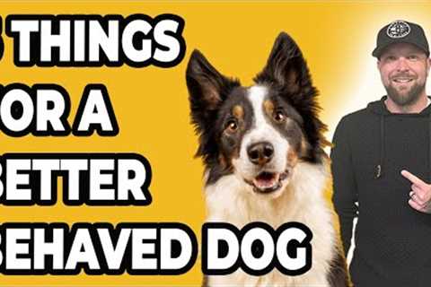 You Must Master These 5 Things For a Better Behaved Dog
