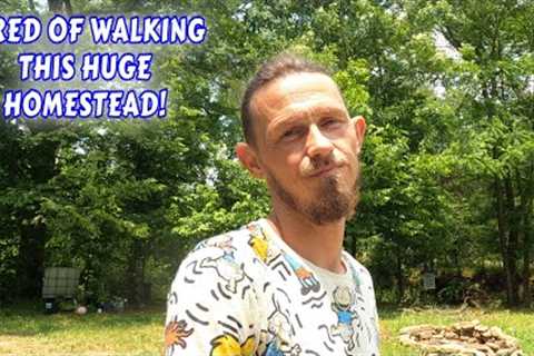 I'M TIRED OF WALKING MY 13 AC OFFGRID HOMESTEAD | couple builds tiny house  homesteading off-grid |