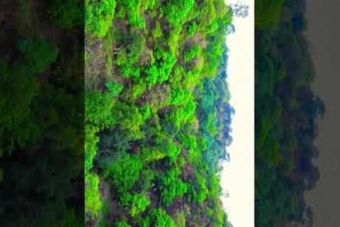 DJI Mini 4K Drone// drone shoot video DJI Mini 4K // #drone #shorts  #dji