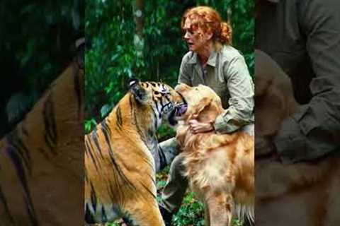 Dog and Tiger Play Like Best Friends! Owner Joins the Fun 🐶🐯❤️