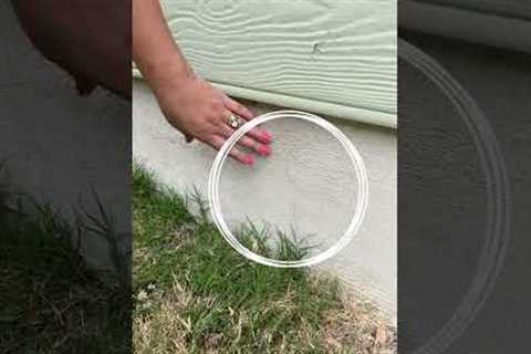 Have you seen cracks in your foundation?