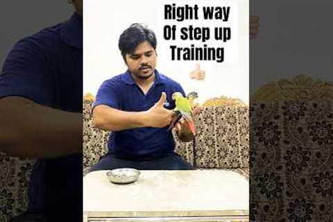 Right way to step up, Fix your step up mistake. Train your parrot right way!