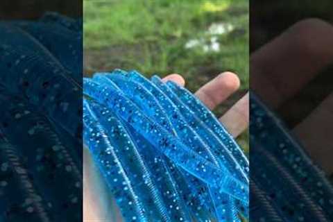 Making Baits at Home!💙#baitmaking #godfirst #bassfishing #marrking #lures #luremaking #creative