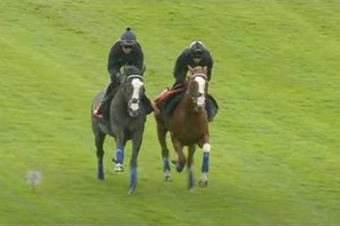 Betfred Derby 2025: contenders go through paces at Epsom | Racing TV