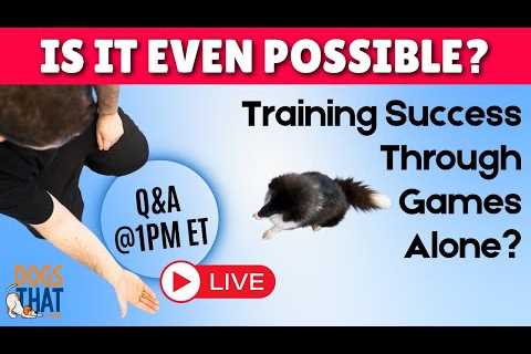 Creating a Well Trained Dog With Games Alone with Susan Garrett