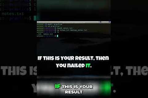 Linux Terminal Challenge for Beginners