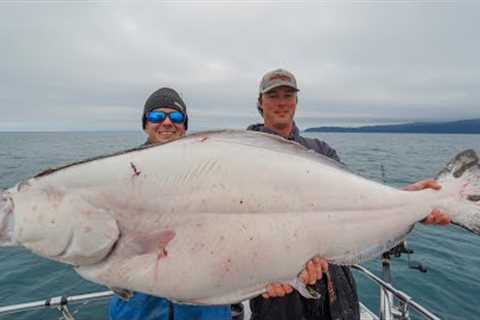 GIANT Alaskan Halibut... Catch Clean Cook