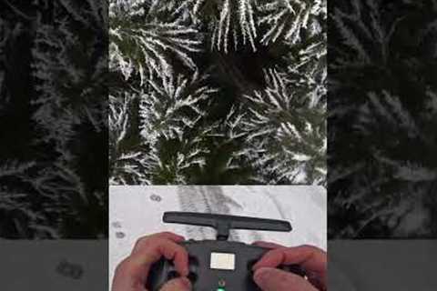 This dive into the snowy forest 😱 (via itsjonnyfpv/IG) #DroneRacingLeague