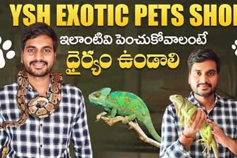 Exotic Pets Shop In Hyderabad || Ysh Exotic Pets || Hyderabad Pets Shop || Tamada Media