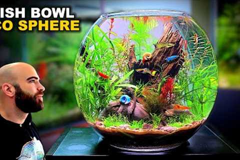 Eco Sphere Fish Bowl: AMAZING NO WATER CHANGE & No Filter Aquarium (AQUASCAPE TUTORIAL)