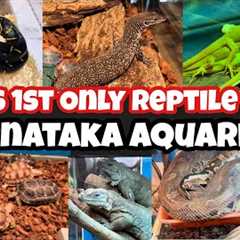 India's 1st Reptile Store | Karnataka Aquarium |  All Amazing reptiles | Tortoises | Snakes| Python