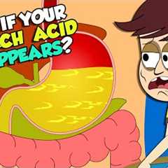 What If Your Stomach Acid Disappeared? | Gastric Acid | The Dr Binocs Show | Peekaboo Kidz