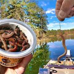 A Simple Way To Catch Crappie With Live Worms
