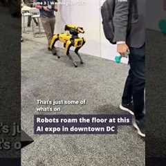 Robots roam the floor among racing drones at this AI expo in Downtown DC