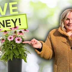 The Perennial Growing HACK That Saves You HUNDREDS! Start These 10 Flowers NOW!