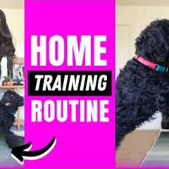 5 Training Exercises You Should Do EVERY DAY At Home!
