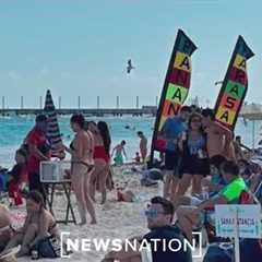 What are the pros and cons of investing in timeshare property? | Morning in America