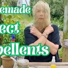 Homemade Insect Repellents