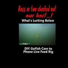 See What's Lurking Below | DIY GoFish Cam to Phone Live Feed Rig #shorts