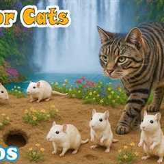 SPECIAL TV FOR CATS to Reduce Stress😻📺Game Mice Hiding & Climbing, Mouse Sounds &..