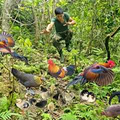 200 days of building a farm in the forest, setting traps, wild chickens, wild boars, night hunting