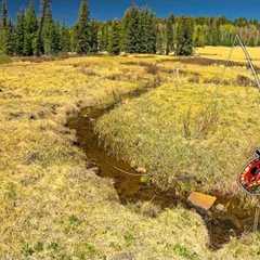 Fly Fishing the BEST Creek EVER for Apache Trout!! (Arizona's Apache Trout Pt 2)