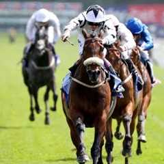 Consistent AL QAREEM guarantees Ebor spot with York win