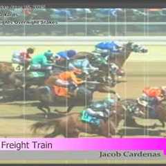 307 Horse Racing, Energy Downs, June 15 2025, Race 3 (110 Yards)