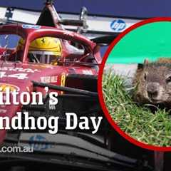 'Devastated' Hamilton's chances ruined by Groundhog