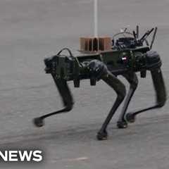 Drones and robotic dogs represent the future of the Army at military parade
