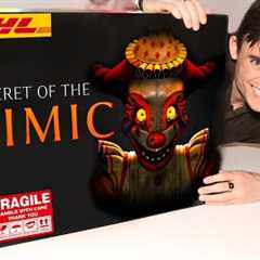 I Bought a Mimic MYSTERY BOX From An illegal website!!!!