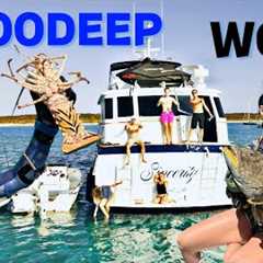InTooDeep Cave Diving, Spearfishing, Catch'n Cook and SHARKS!