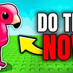 5 Things YOU NEED TO DO Before SUMMER UPDATE! (Grow a Garden)