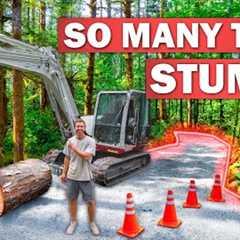 Building My 700ft Forest Driveway on a BUGDET