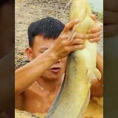 Survival Skills: Catching Fish & Plastic pipe fishing trap #bushcraft #fishing #catchingfish