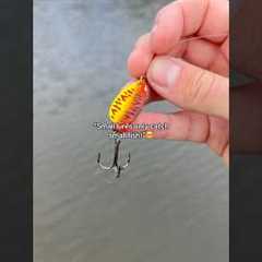 Elephants eat PEANUTS!😳 #fishing #shorts