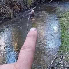 Trout fishing with worms, tips tricks and techniques for catching more trout on worms
