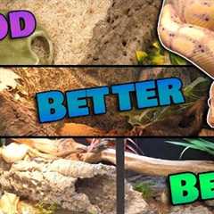 What is the BEST Ball Python Enclosure?