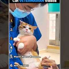 Ranking Best Cat Veterinarian Videos