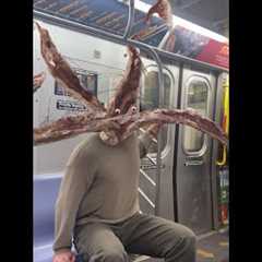they are everywhere.... PARASYTE: THE GREY is now streaming