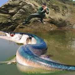 Skills, to catch giant fish underwater, build new shelters, survival farm