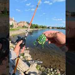 Fishing with mystery lures sent by a follower