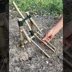 Trap in the Forest! #survival #outdoors #bushcraft