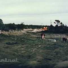 Cow vs. Underground nuclear test