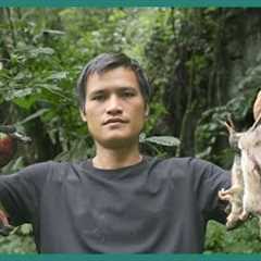 Survival Skills: Trap Setup and Animal Harvest in the Wild