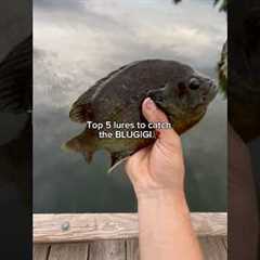 Top 5 lures to catch BLUEGIGI!😳 #fishing #shorts