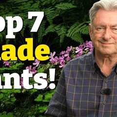 My Top 7 Plants for Shade - Transform Your Garden!