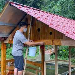Coloring a happy life in the mountains: Enjoy fresh coconut together, DAU beautifies the new room